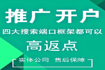 短视频信息流广告投放策略与案例分析